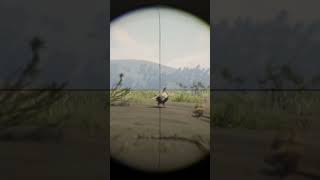 RDR2 Turkey hunting rdr2 [upl. by Eidas705]