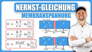 NernstGleichung Physiologie  Membranspannung  Physikum M1 Übungsaufgaben [upl. by Dieball]