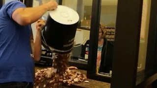 This guy paid his 220 speeding ticket in pennies [upl. by Rabin]