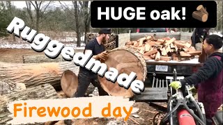 Firewood day Cutting and splitting together on our RuggedMade 37 ton splitter [upl. by Michel]