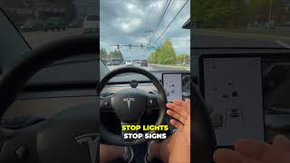 Shocking 🚗 How Much Does Tesla Autopilot REALLY Cost 💰 [upl. by Gombosi]