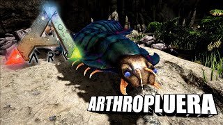 Taming A Arthropluera  Ark Survival Evolved  The Island [upl. by Eilsehc]