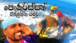 පොකිරිස්සන් දඩයම ‼ සිංගි දැල් යමුද ‼ Catching Lobsters ‼ wishwatiyubaya 🦞😲🎣 [upl. by Tloh]