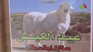 CNIAAG Fete du mouton Ouled Djellal 2015 [upl. by Walcoff]