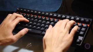 TMS Rapoo V500 Mechanical Keyboard with Yellow Switch Demonstration [upl. by Endora]