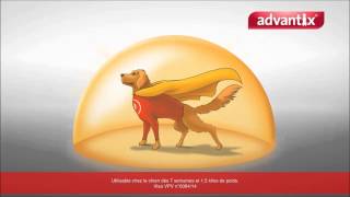 Advantix antiparasitaire pour chien [upl. by Anissa]