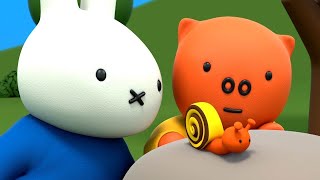 Miffys Bug Hunt   Miffy  New Series  Miffys Adventures Big amp Small  Full Episodes [upl. by Midian679]