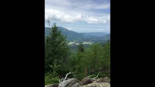 Fossil hunting in Racehorse Creek Washington at the Chuckanut slide site Crocodile footprints [upl. by Faso]