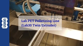 Lab PET Pelletizing Line Lab30 Twin Extruder  USEON [upl. by Wera]