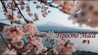 Просто Маса 3  Борис Акунин [upl. by Adrienne]