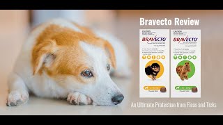 Bravecto Flea and Tick Treatment for Dogs Pet Care VetSupply [upl. by Eleanor134]