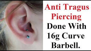 Anti Tragus Ear Piercing done with Curve Barbell [upl. by Arihaj]