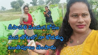 బంతిపూల హార్వెస్ట్  marigold  farming  transgenderslife  traditionallife  srirajini [upl. by Otxis735]