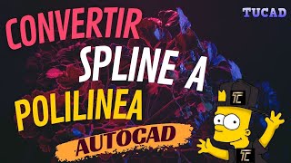 COMO CONVERTIR SPLINE A POLILINEA TIPO CABLEADO ELECTRICO EN AUTOCAD [upl. by Lizabeth]