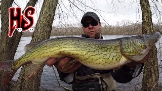 Hook Shots For The Love Of Chain Pickerel [upl. by Tavia78]