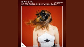 DJ Terburu Buru X Ayam Pargoy [upl. by Eleaffar]