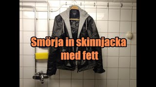 Smörja fetta in skinnjacka med fett Skötselråd DIY [upl. by Chaddy]