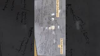 Molecular Analysis of Embryogenesis molecularbiology plantanatomy uniraj short viralshorts [upl. by Jenette]