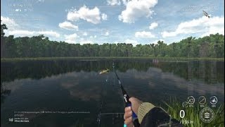 Fishing Planet Amazonas  Teil 5 Augenfleck Kammbarsche fangen [upl. by Buskirk984]