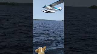 Kipawa fly boy in his float plane [upl. by Aerdnas15]