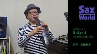 Roland Aerophone AE 10G 試奏動画 [upl. by Neztnaj]