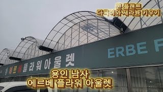 용인 남사 에르베 플라워 아울렛 천천히 구경하세요남사화훼단지 식쇼핑에르베플라워콘플랜트다육이애니시다plants [upl. by Aehsa]