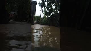 floods naturaldisasters shorts viralvideo [upl. by Assillam]