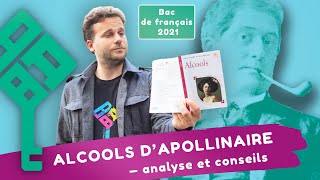 Alcools d’Apollinaire analyse en 6 questions   Bac de français 2025 [upl. by Mariand]