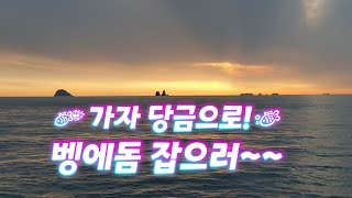 당금에 가자 벵에돔 잡으러 [upl. by Ogdon299]