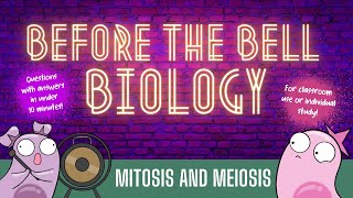 Mitosis and Meiosis Before the Bell Biology [upl. by Thirza615]