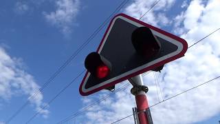 Railroad Crossing Zurich  Bahnübergang bei der Haltestelle Triemli Zürich [upl. by Veal90]