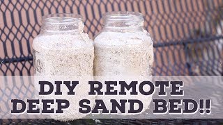 DIY Freshwater Remote Deep Sand Bed [upl. by Ennaehr]