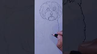 How To Draw Dog Cute Easy  Draw Dog Step By Step  Menggambar Anjing Mudah shorts [upl. by Inajar]