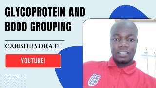 Glycoprotein and Blood Grouping [upl. by Zebulen]