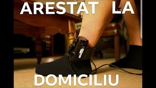 Dani Mocanu  Arestat la domiciliu  Official Audio [upl. by Ithsav148]