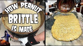 How Peanut Brittle is Made VEGAN Hercules Candies [upl. by Larochelle995]