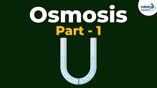 What is Osmosis  Part 1  Cell  Infinity Learn [upl. by Busch342]