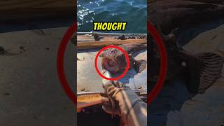 Monkfish Locked His Finger 😱😲 shorts fish satisfying [upl. by Scales756]