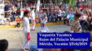 Vaquería Yucateca  Orquesta Jaranera del Ayuntamiento de Mérida [upl. by Bernhard]