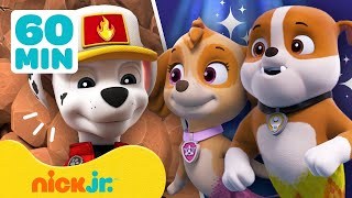 Paw Patrol  Best Friends Skye amp Zuma  Nick Jr UK [upl. by Adriane]