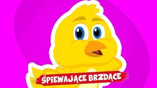 Śpiewające Brzdące  Żółty kurczaczek 😍😍😍 Piosenki dla dzieci [upl. by Nim675]