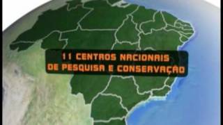 ICMBio  Biodiversidade Brasileira [upl. by Eusassilem34]