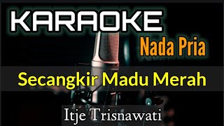 KARAOKE  SECANGKIR MADU MERAH  NADA PRIA [upl. by Bounds610]