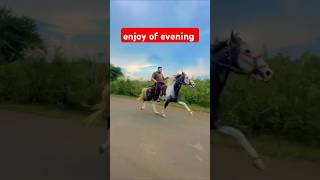 enjoy the evening with horse riding singlefootinghorseriding horselover hard human horse riding 🐎 [upl. by Gabriellia]