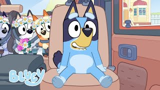 Road Trip Moments 🚗 💨  Travel Fun with Bluey and Bingo  Bluey [upl. by Yevreh365]