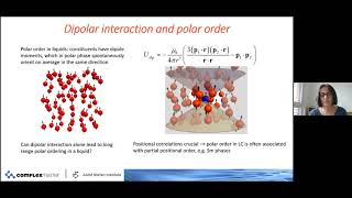 CFTC seminar Ferroelectric Splay Nematic Phase [upl. by Yeffej]