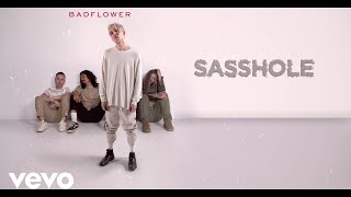 Badflower  Sasshole Lyric Video [upl. by Dnob]