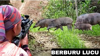 BERBURU BABI HUTAN PALING KOCAK POIN 2 EKOR [upl. by Eizzo]