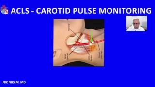 ACLS CAROTID ARTERY PULSE PALPATION BY NIK NIKAM MD [upl. by Nuahsak]