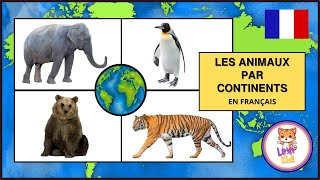 LES ANIMAUX PAR CONTINENTS  Les noms et bruits pour les enfants [upl. by Rex]